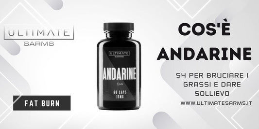 Cosa e` Andarine S4
