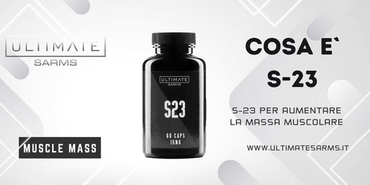 Cosa e` S23?