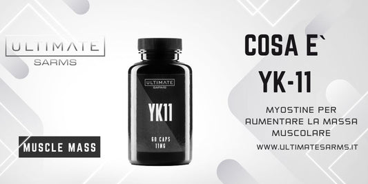 Cosa e` YK11