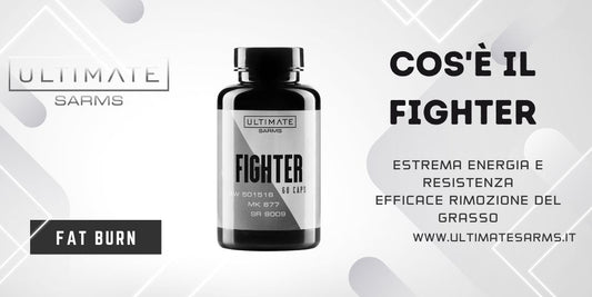 Cosa e` Fighter?