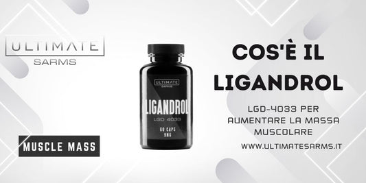 Cosa e` Ligandrol LGD4033